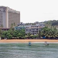 ყველა preview