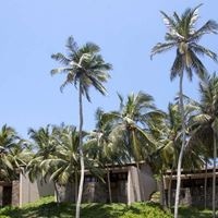 ყველა preview