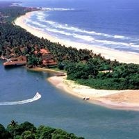 ყველა preview