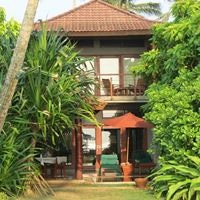 ნომრები preview