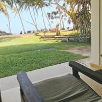 ნომრები preview