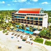 ყველა preview