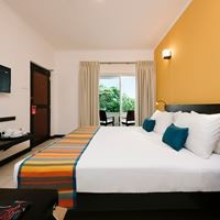 ნომრები preview