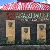 ყველა preview