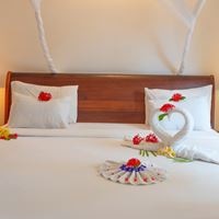 ნომრები preview