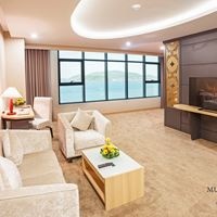 ნომრები preview