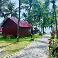 ნომრები preview