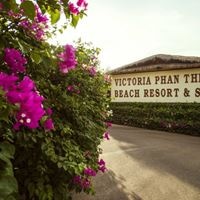 ყველა preview