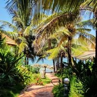 ყველა preview