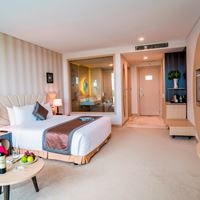 ნომრები preview