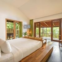 ნომრები preview