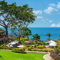 ყველა preview