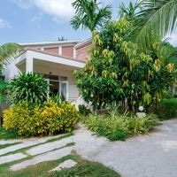 ყველა preview