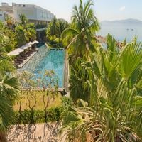 ყველა preview