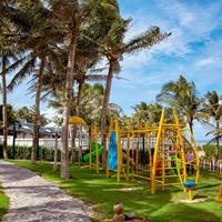 ყველა preview