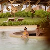 ბარი preview