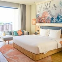 ნომრები preview