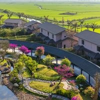 ყველა preview