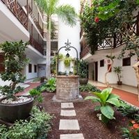 ყველა preview