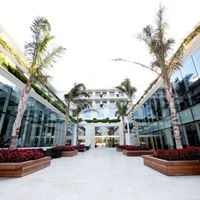 ყველა preview