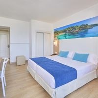 ნომრები preview