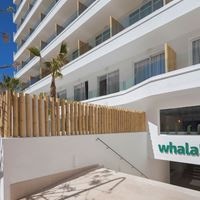 ყველა preview