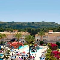 ყველა preview