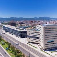 ყველა preview