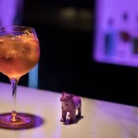 ბარი preview