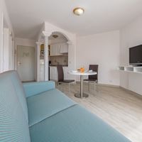 ნომრები preview