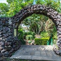 ყველა preview