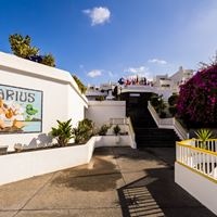 ყველა preview