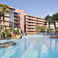 ყველა preview