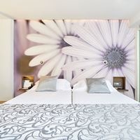 ნომრები preview