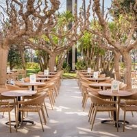 ბარი preview