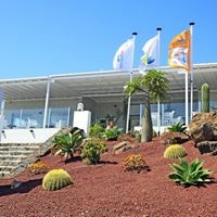 ყველა preview