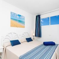 ნომრები preview