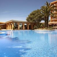 ყველა preview