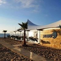 ბარი preview