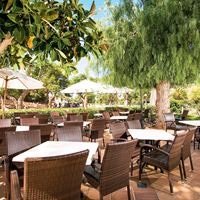 ბარი preview