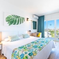 ნომრები preview