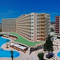 ყველა preview