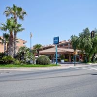 ყველა preview