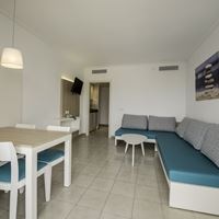 ნომრები preview