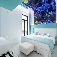 ნომრები preview