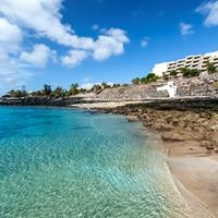 ყველა preview