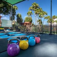 სპორტი preview