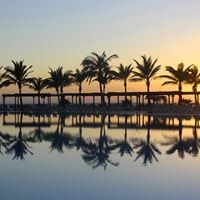 ყველა preview