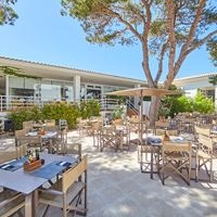 ბარი preview