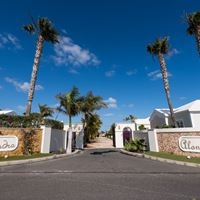 ყველა preview